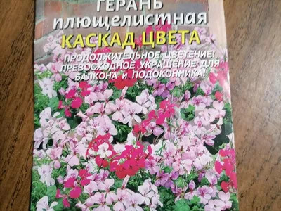 Герань ампельная (h-70 см) | Интернет-магазин искусственных цветов  www.i-flora.ru