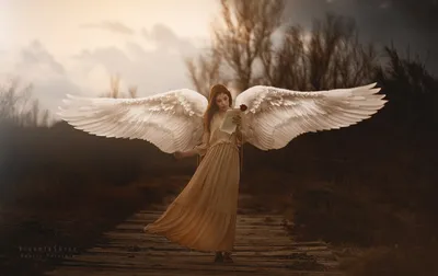 10,603 небо ангелов стоковые фото – бесплатные и стоковые фото RF от  Dreamstime