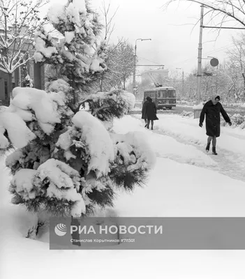 Фото \"Общественная купальня\", 1960 - 1970, Туркменская ССР, г. Ашхабад -  История России в фотографиях