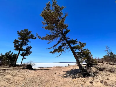 Без воды и отопления, нет возможности строить дом на своем участке. Как  живут (выживают) люди в самом знаменитом поселке на берегу Байкала | Покажи  мир | Истории из путешествий | Дзен