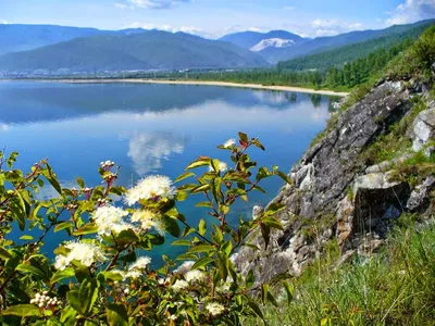 Байкал — города и районы, экскурсии, заповедники, парки Байкала