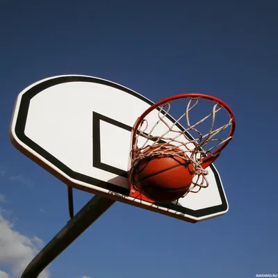 Спорт, #Баскетбол, #аватары, #картинки, #фото, #авы,  https://avatarko.ru/kartinka/18208 | Баскетбол, Спорт, Баскетбольная  фотография