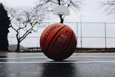 Йокич проводит сезон с уникальными показателями в истории НБА - НБА -  Баскетбол на Slamdunk.ru: нба, новости, статистика, общение