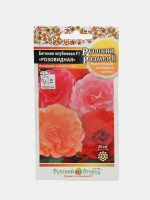 Бегония клубневая Нон Стоп Уайт (Begonia tuberhybrida Non-Stop White)  купить в интернет магазине Zakazvsad.ru, посмотреть фото и описание