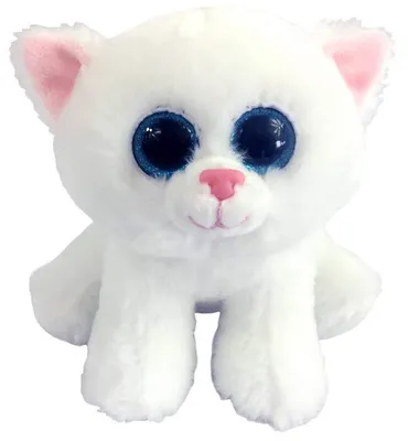 Красивый белый котенок с голубыми глазами - обои для рабочего стола,  картинки, фото