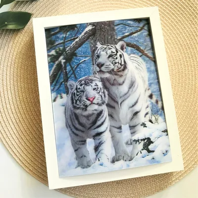 Белый тигр » Белые тигры » Кошачья галерея » Magnus Felidae (Великие  Кошачьи) - красота и превосходство!