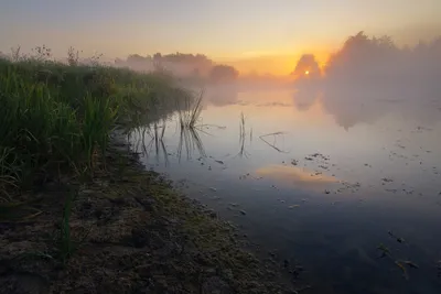 Берег реки на рассвете. Фотограф Виктор Тулбанов