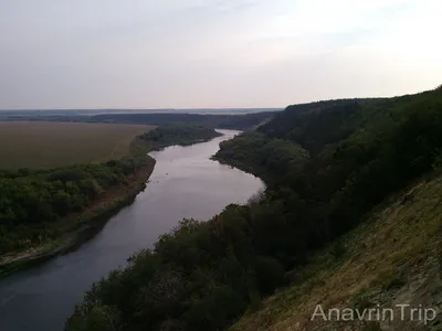 1 Га ИЖС, свой берег реки Лама, Цена 33.000.000 руб. — ВЗАВИДОВО.РУ