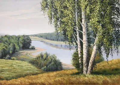 Берег реки Сита — Новости Хабаровска