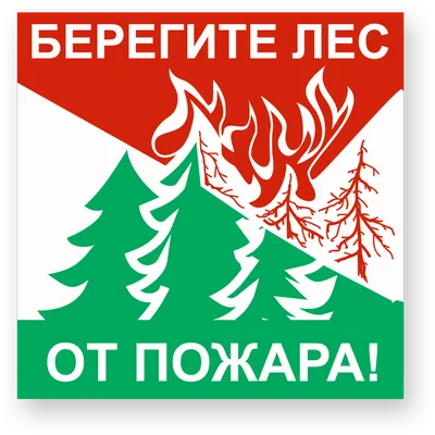 Берегите лес