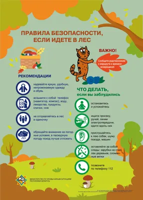 Рисунок БЕРЕГИТЕ ЛЕС!!! №328307 - «Стенгазеты и Плакаты» (16.06.2022 -  18:04)