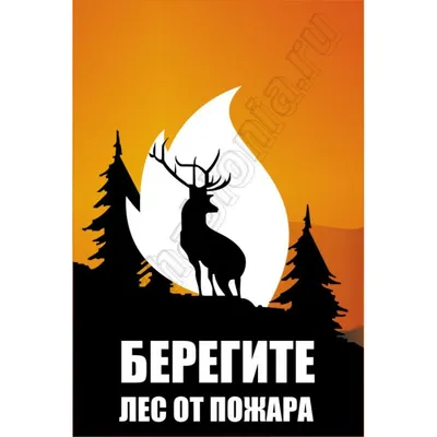 Стенд берегите лес от пожара