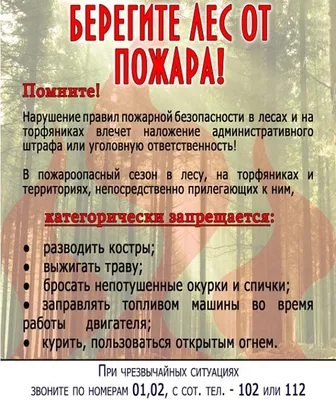 Конкурс рисунков и плакатов \"Дети против огня в лесу!\" · Завершенные  конкурсы · Муниципальное Бюджетное Учреждение Культуры «Зоопарк» -  официальный сайт