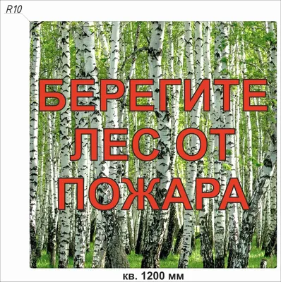 В Калужской области стартовал конкурс рисунков \"Берегите лес от пожара!\"