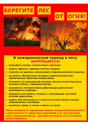 Акция «Береги лес от пожара» — Детский сад № 118 г. Тюмени