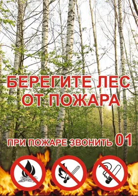 Берегите лес от огня! | «Официальный сайт Администрации муниципального  района Похвистневский Самарской области»