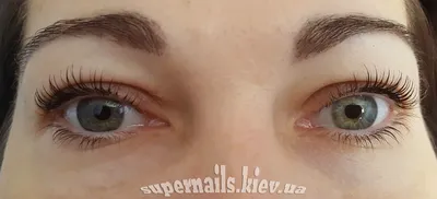 ᐈ Купить Набор для ламинирования и биозавивки ресниц Lakerain Eyelash  Lifting в Украине| Mixcosmetic.com.ua