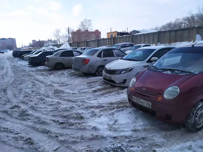 Житель Мичуринска битой расколотил \"Приору\" своей знакомой - Тамбовский  Репортер