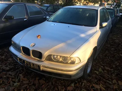 Бмв 5 Е39 продам: 2 770 $ - BMW Зубра на Olx