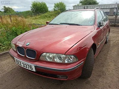 BMW 5 series (E39) 3.0 бензиновый 2003 | bmw 530d e39 individual на DRIVE2