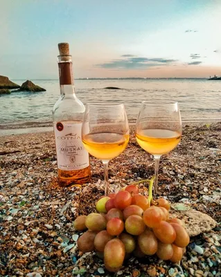 Пьяный Твиттер on X: \"Сейчас бы бокал вина на закате у моря, а не вот это  вот всё. https://t.co/sofgzdBDAF\" / X
