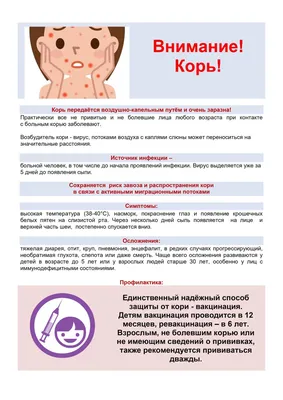 В России за девять месяцев 2023 года выявили в 288 раз больше заболевших  корью, чем годом ранее - РМОО ВСТРЕЧА