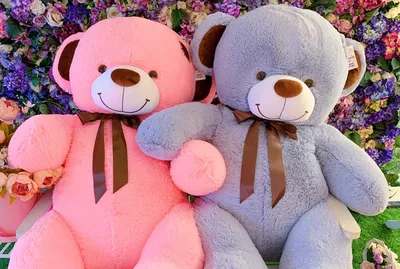 240 см (2.4 метр ) Огромный Плюшевый медведь ФЕЛИКС (цвет: кофейный) |  Мягкие игрушки | Большие мишки (id 96277068), купить в Казахстане, цена на  Satu.kz