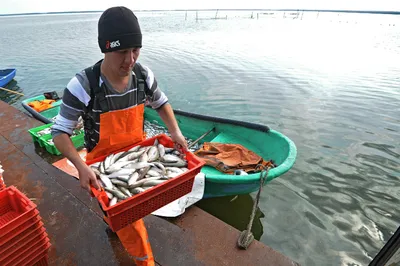 Рыбак с большой рыбой на лодке стоковое фото ©BIG_TAU 3701715