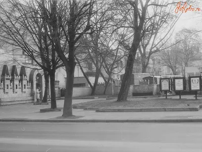 Фото бреста 1980 фото