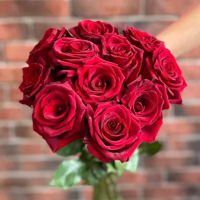Букет из алых роз (101 шт) купить с доставкой в интернет-магазине за  38297р. Позиция № 45