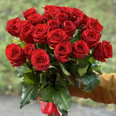 55 алых роз по цене 14750 ₽ - купить в RoseMarkt с доставкой по  Санкт-Петербургу