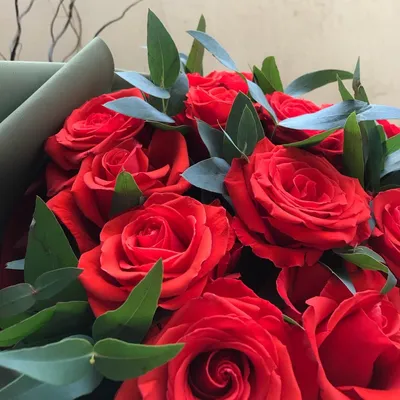 Заказать Букет из алых роз с доставкой по Одессе, Одесской области, в Киев  и по Украине - Solo Flowers