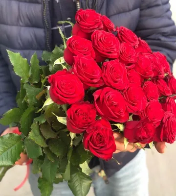 Алые розы (70 см) по цене 430 ₽ - купить в RoseMarkt с доставкой по  Санкт-Петербургу