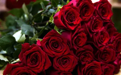 Букет из 19 красных роз (50 см ) за 4121р. Позиция № 2859