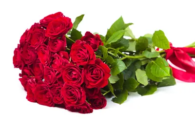 Букет «Эльторо» (35 роз) - Магазин цветов