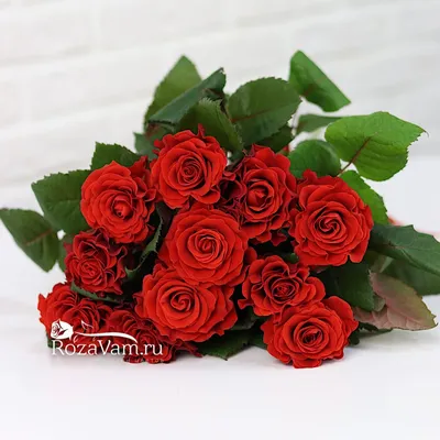 Букет \"Букет из 49 алых роз\" - заказать с доставкой недорого в Москве по  цене 9 900 руб.