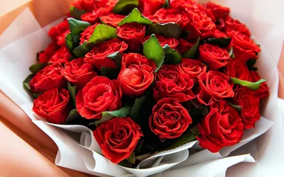 БУКЕТ 35 алых роз с упаковкой купить в Солигорске