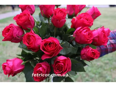 Купить Букет из 35 алых роз в крафт в Москве за 4 150 руб. | Быстрая  доставка цветов