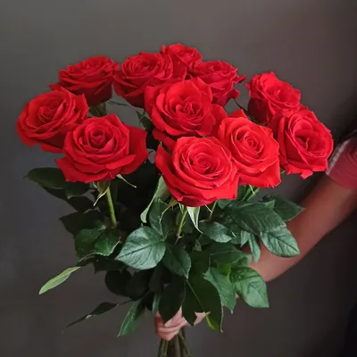 Купить букет из роз «19 алых роз» в Октябрьском - «Галерея роз»