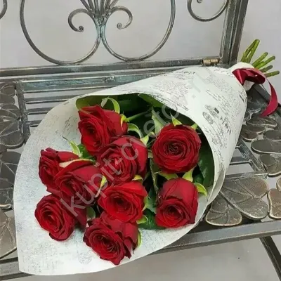 Букет из 25 длинных Голландских алых роз | купить 25 высоких роз