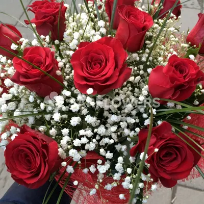 35 алых кустовых роз - Доставкой цветов в Москве! 22800 товаров! Цены от  487 руб. Цветы Тут