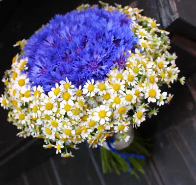 Купить букет ромашек Луч солнца c доставкой по Днепру в интернет-магазине  Royal-Flowers