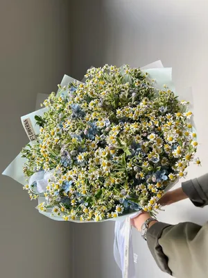 Букет ромашек 25 цветов | Flowers Valley
