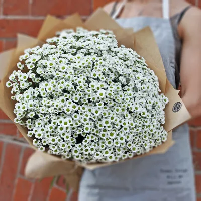 Букет из роз, колокольчиков и ромашек 🌺 купить в Москве