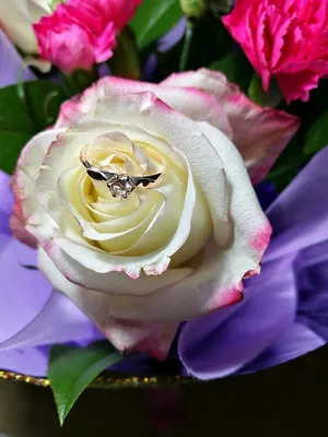 букет из роз пионов и свадебных колец гидрангея на камень кольцо и серьги с  бриллиантами женщин Стоковое Изображение - изображение насчитывающей бобра,  взорвать: 223928593