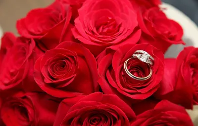 51 роза - обручальное кольцо за 11 290 руб. | Бесплатная доставка цветов по  Москве
