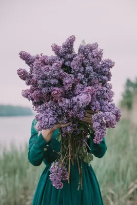 Заказать Букет \"Ароматный\" - Bloom.by