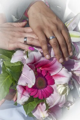 Традиционное праздничное дневное кольцо с розами фотографии и фотографии  комнатного натюрморта Фон И картинка для бесплатной загрузки - Pngtree