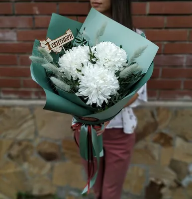 Стала известна цена букета цветов в Подмосковье к 1 сентября - В регионе -  РИАМО в Красногорске