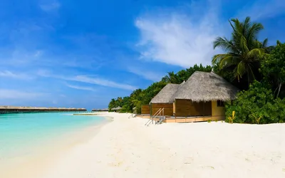 Отели на Мальдивах с водными горками из виллы в море – турагентство Coral  Travel Elite